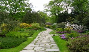 wsb800x474garten