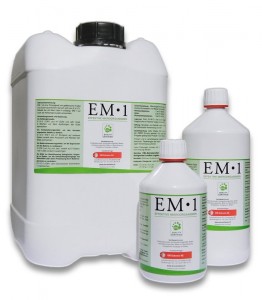 0000205_em1